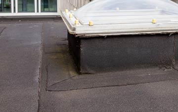 disadvantages of Wallacetown flat roofs