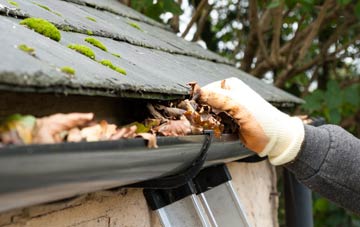 gutter cleaning Wallacetown, South Ayrshire